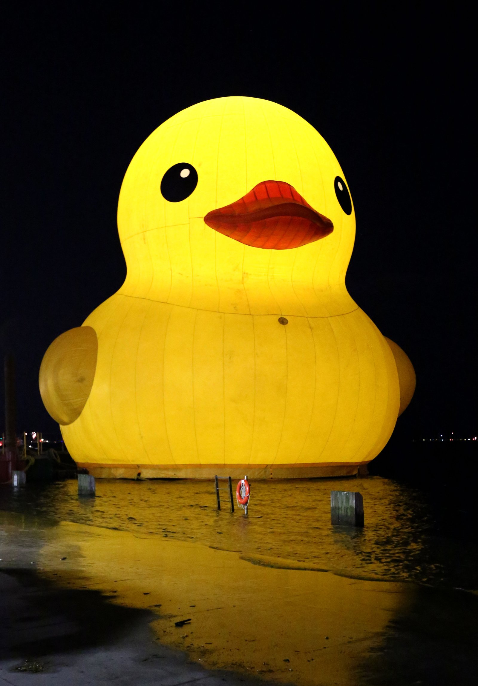 Duck
